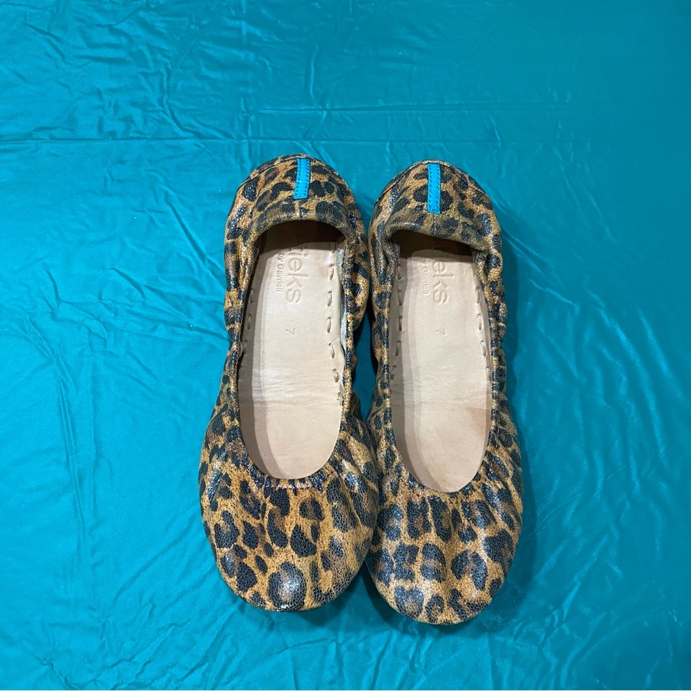 Tieks by Gavrieli